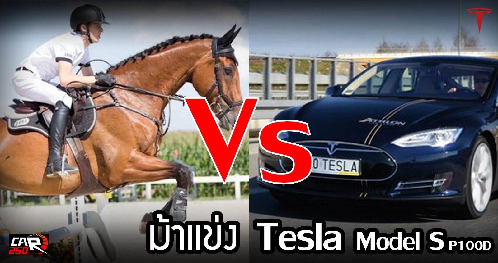 Tesla Model S P100D​ Vs ม้าแข่ง ใครแรงกว่ากัน ? (มีคลิป)