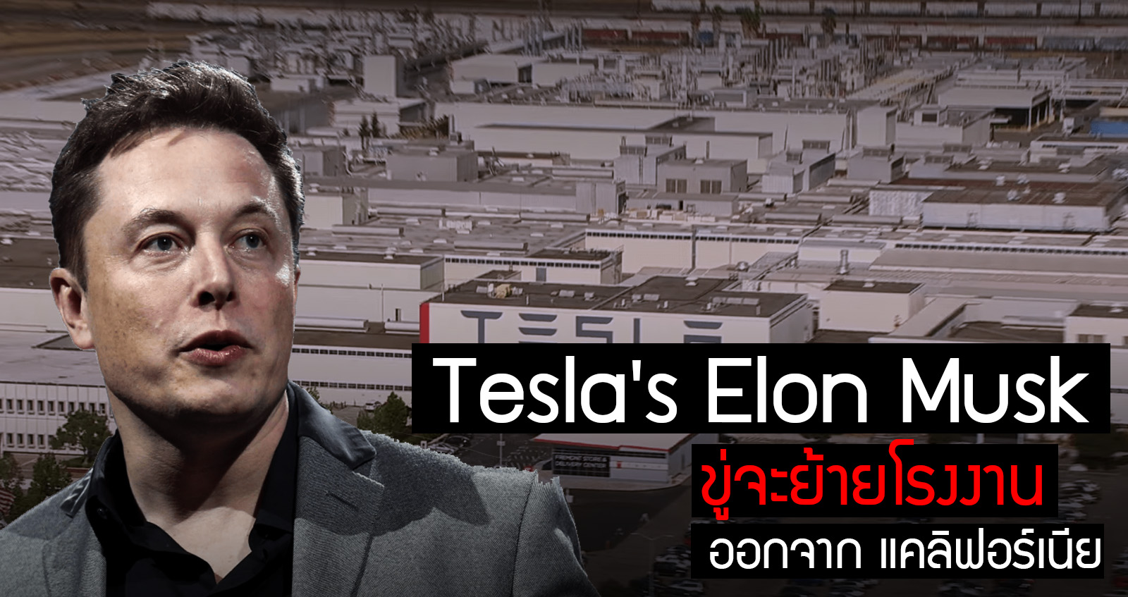 Tesla’s Elon Musk ขู่จะย้ายโรงงาน ออกจาก แคลิฟอร์เนีย