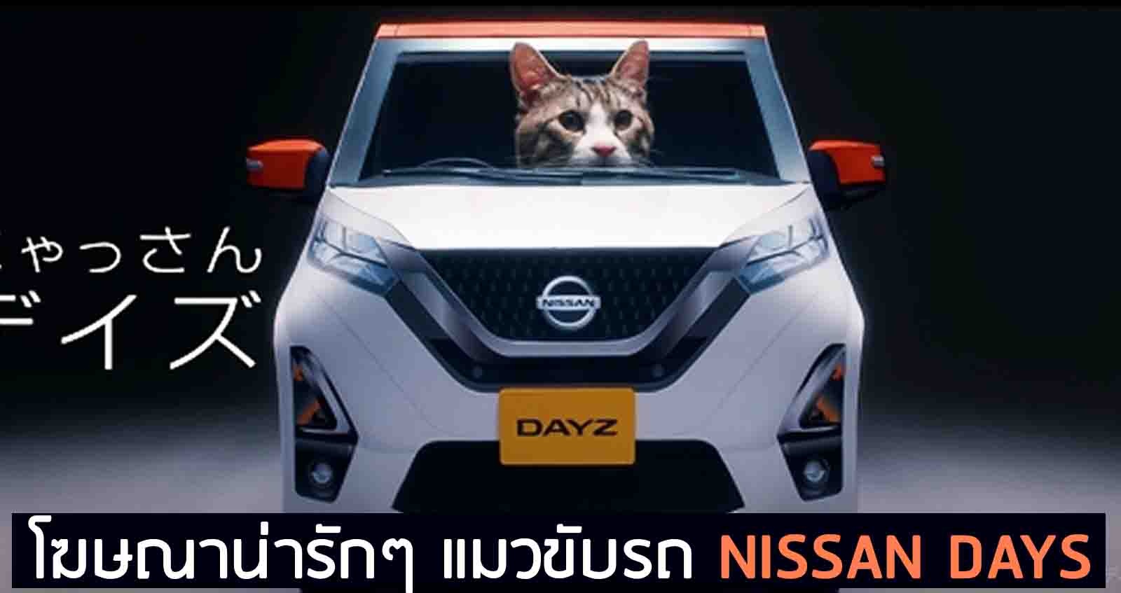 โฆษณาน่ารักๆ แมวขับรถ NISSAN Days (VDO)