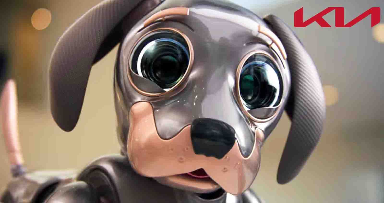 สุนัขหุ่นยนต์ขี้อ้อน KIA Robo Dog  ก่อนเปิดตัว 13 กุมภาพันธ์ 2022